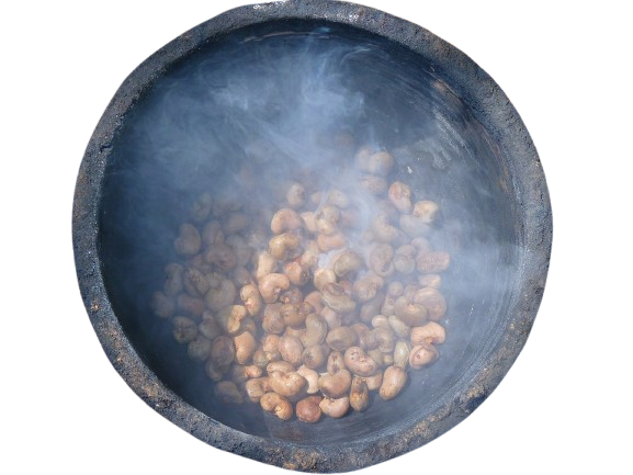  steaming cashew nut