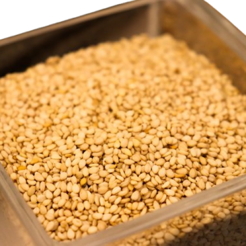 Sesame Seeds: Nutritional Powerhouse & Tasty Uses